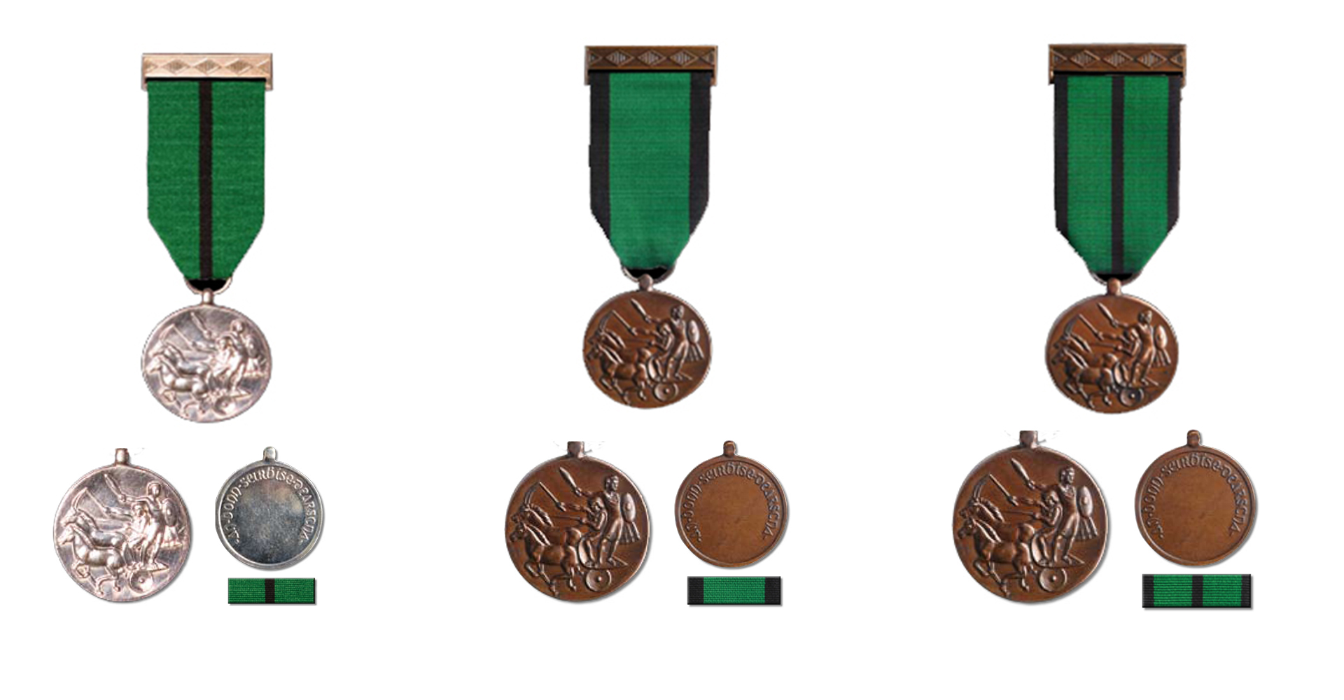 The Distinguished Service Medal (DSM)