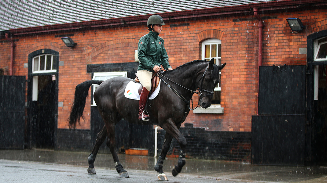 The Equitation School