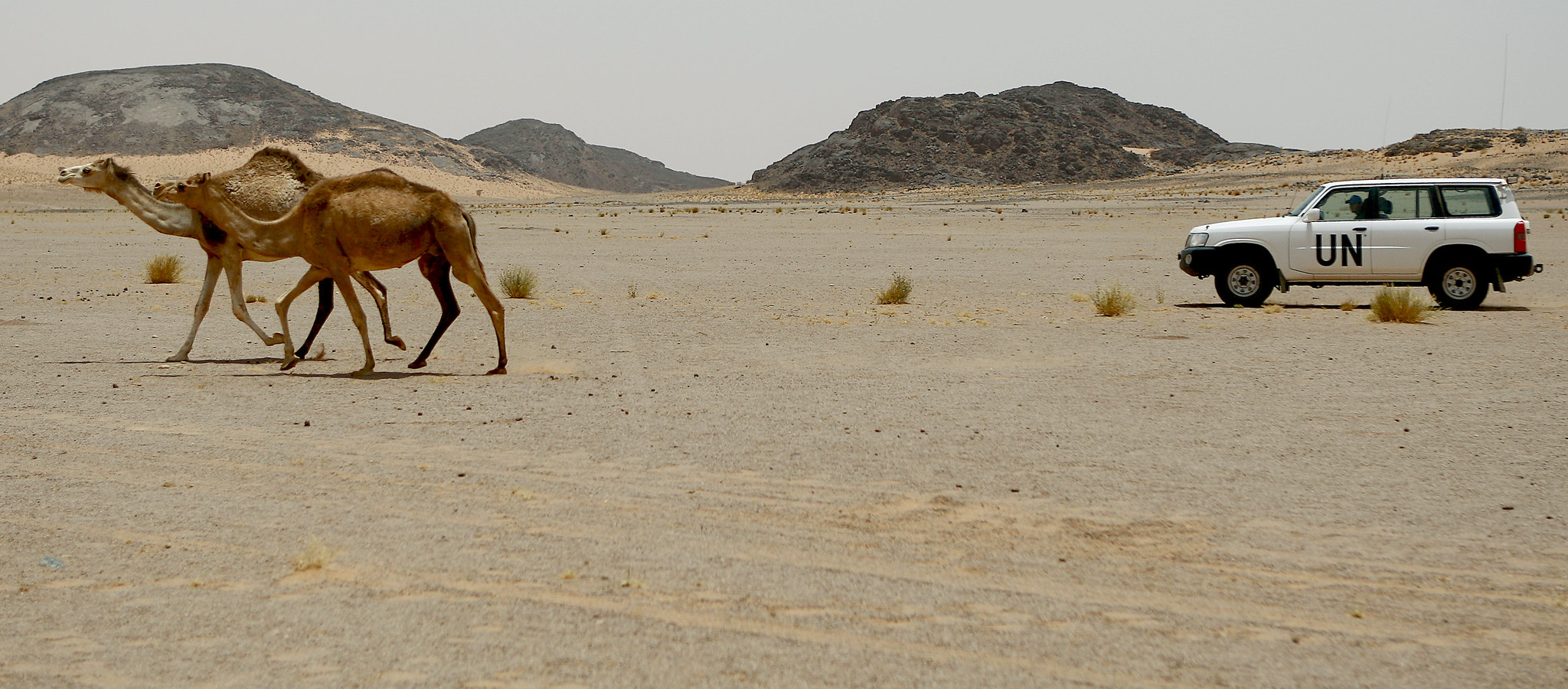 Western-Sahara