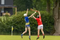 DF_Hurling-044