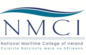 Summary nmci