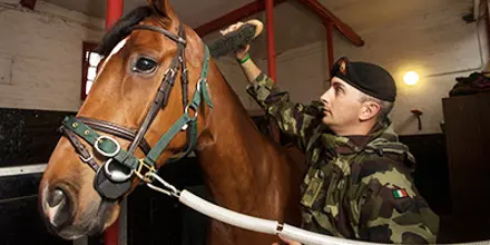 Summary Images Equit