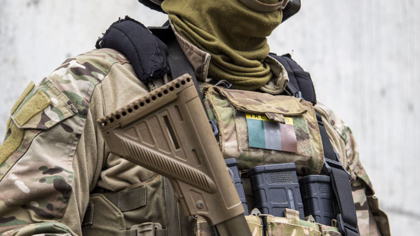 Roles | Defence Forces