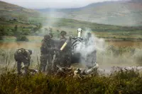 d29