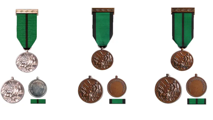 Hero dsm Medals)