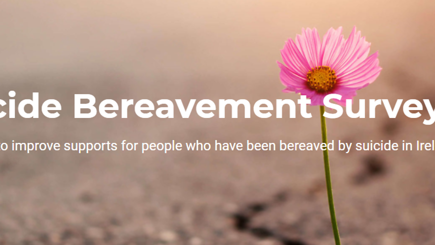 Irish Suicide Breavement Survey)