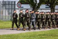 12JITC-96 (1)